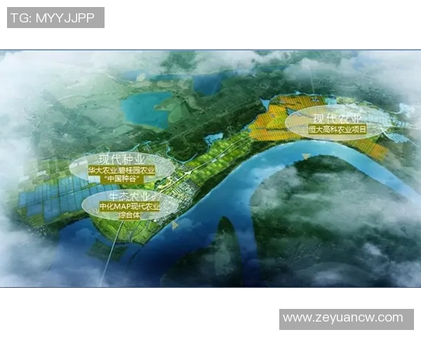 大连华西足球崛起之路探索与发展新机遇的全景分析